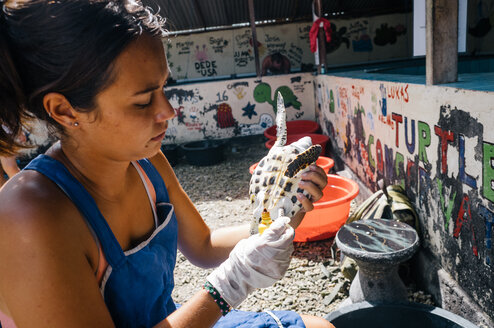Sea Turtle Volunteer in Bali with IVHQ